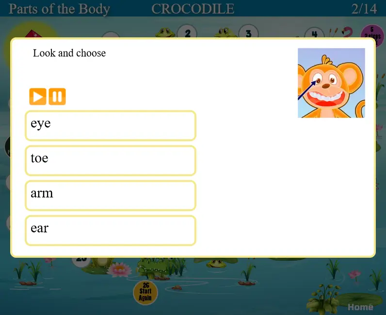 Croc Board Game - Parts of the Body