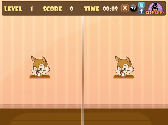 Animals Mirror Match