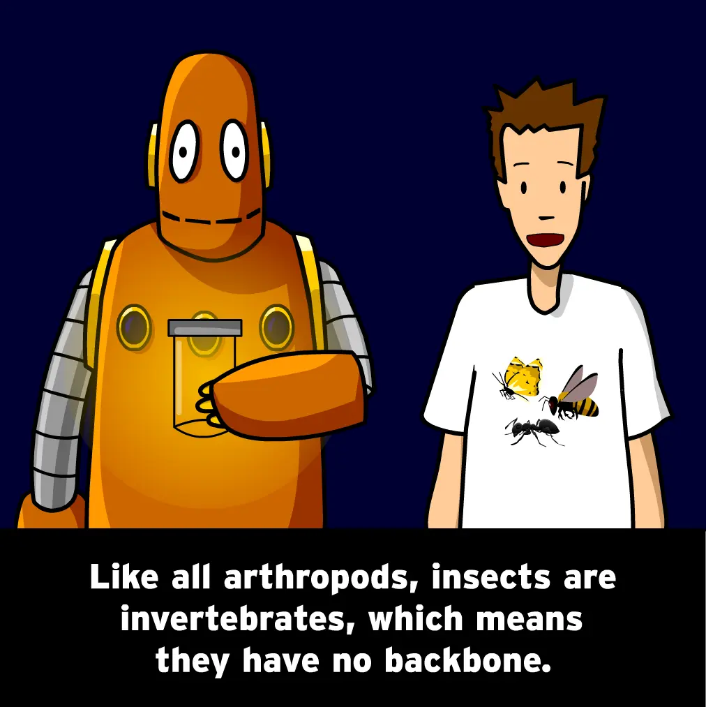 The Mysteries of Life With Tim & Moby: Insects