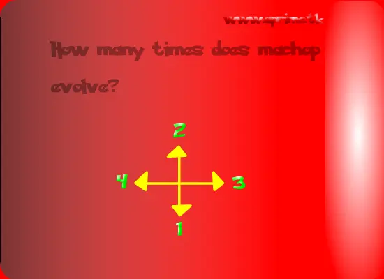 The Pokemon Quizz