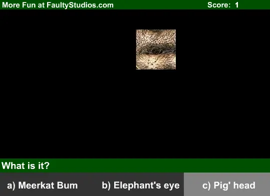 What is it? Quiz