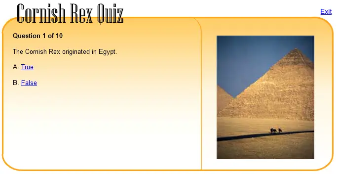 Cornish Rex Quiz