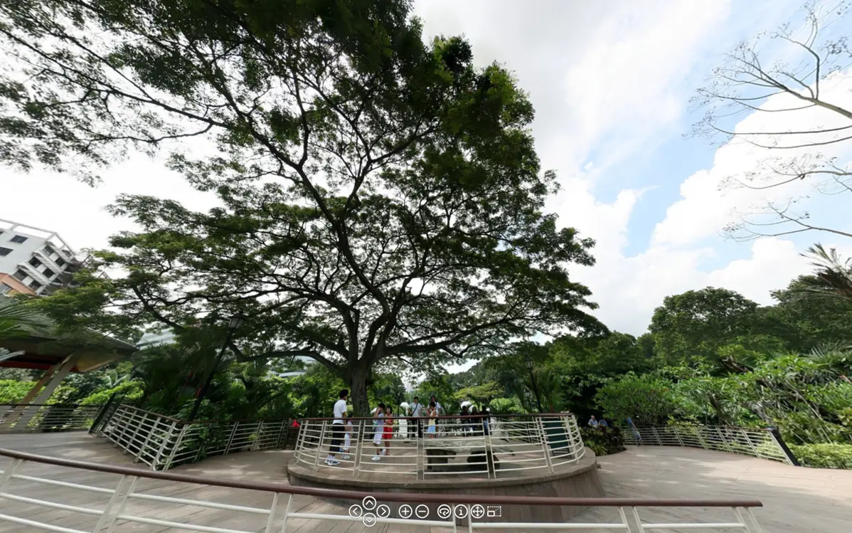 Singapore Botanic Gardens Series - 2