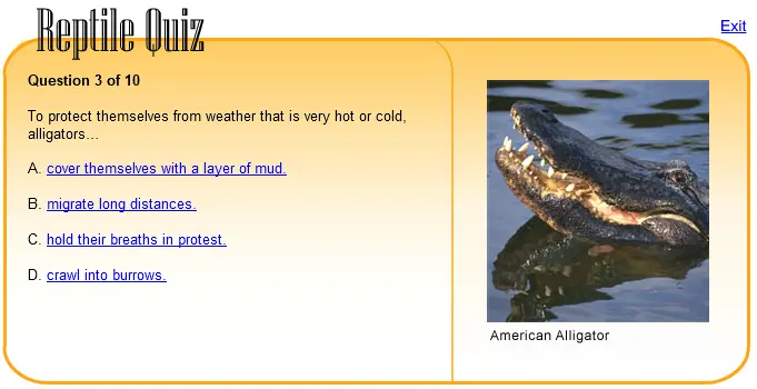 Reptile Quiz