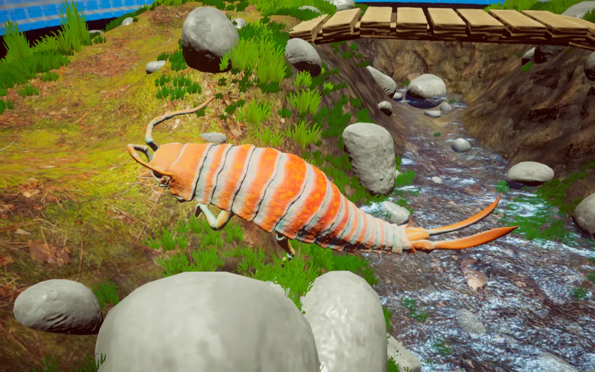 Isopod Lab