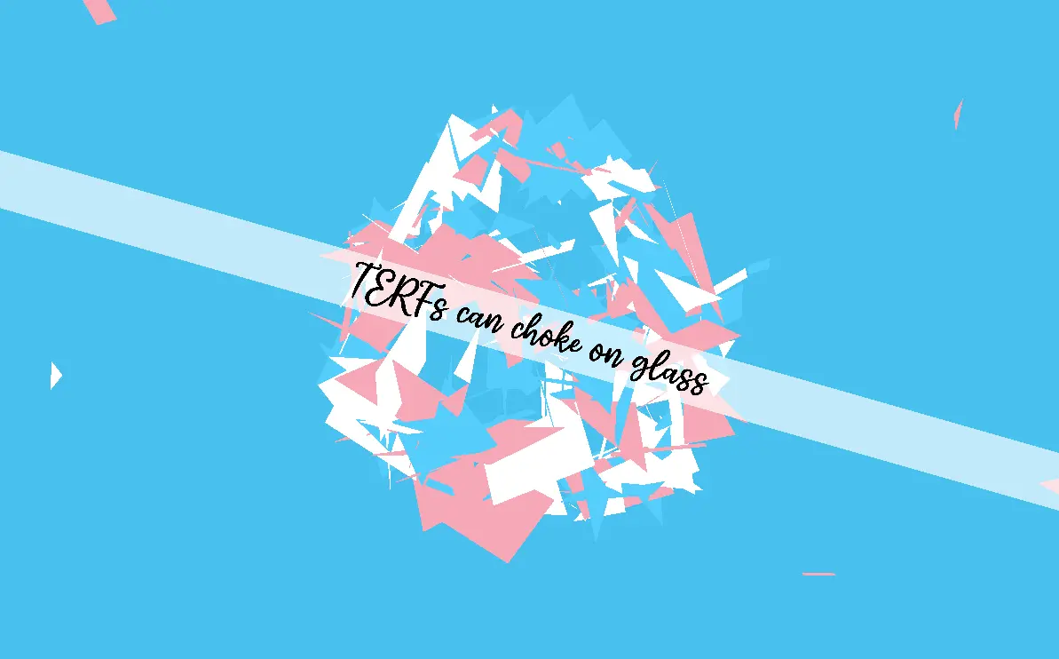 Trans Hecking Rights