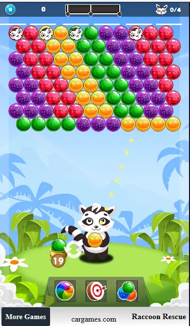 Raccoon Rescue