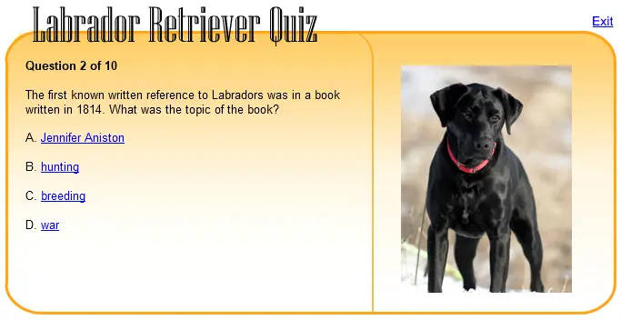 Labrador Retriever Quiz