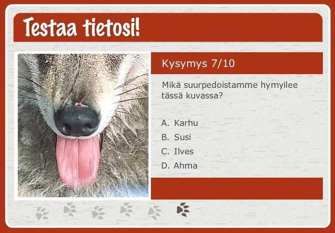 Testaa tietosi!