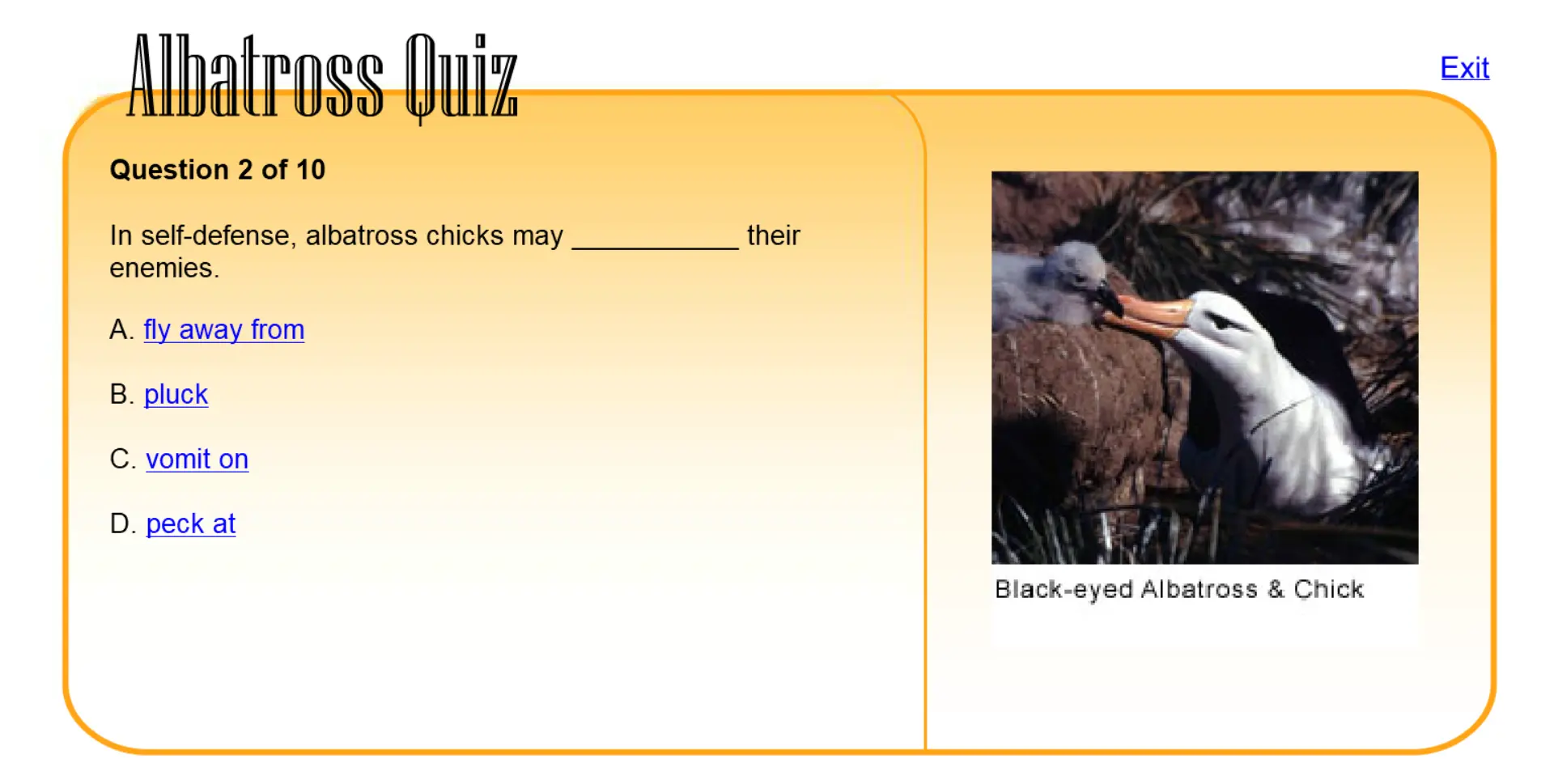 Albatross Quiz