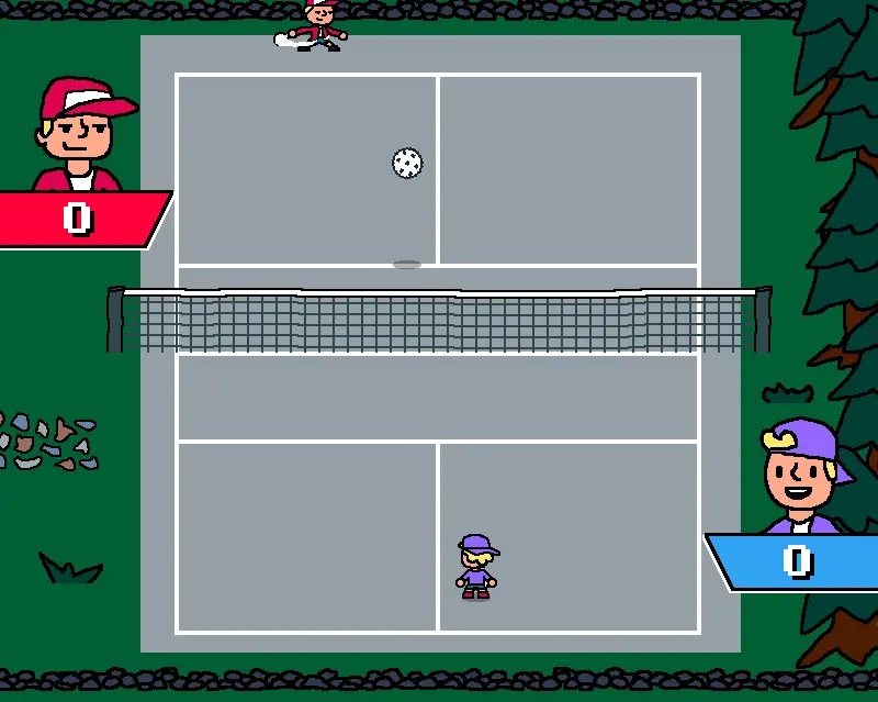 Super Pickleball Adventure