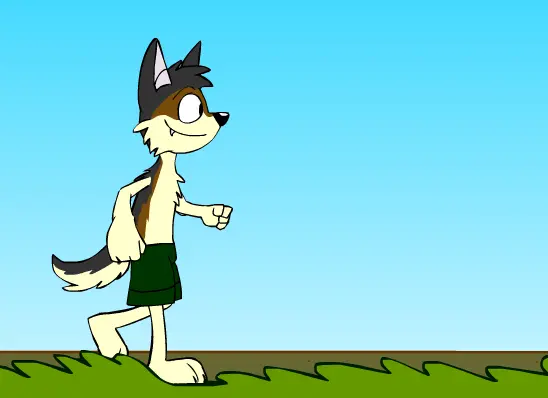 Walk Cycle