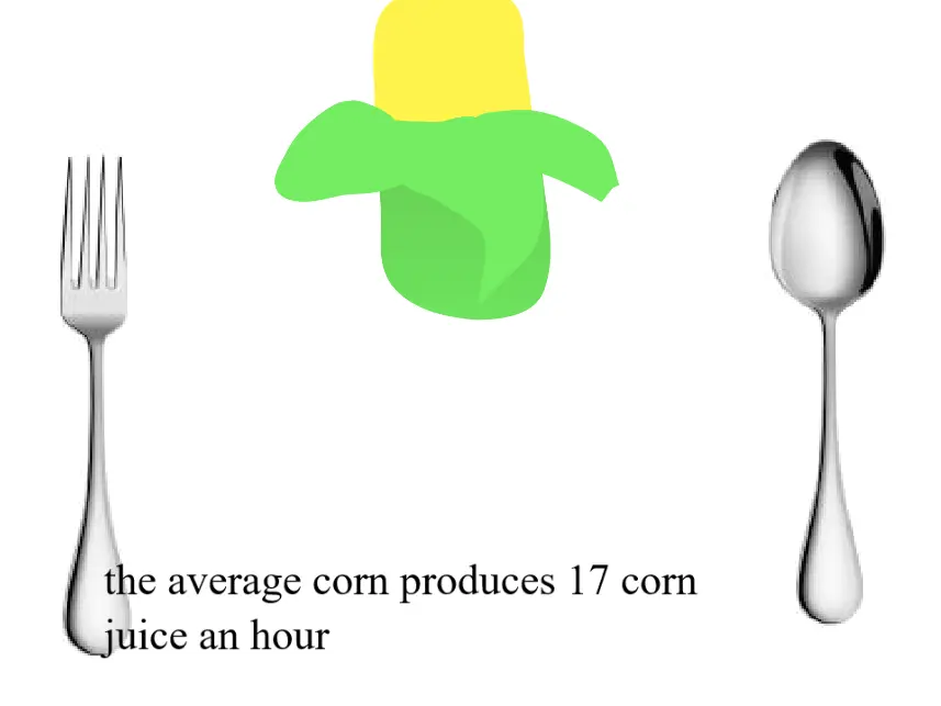 corn facts