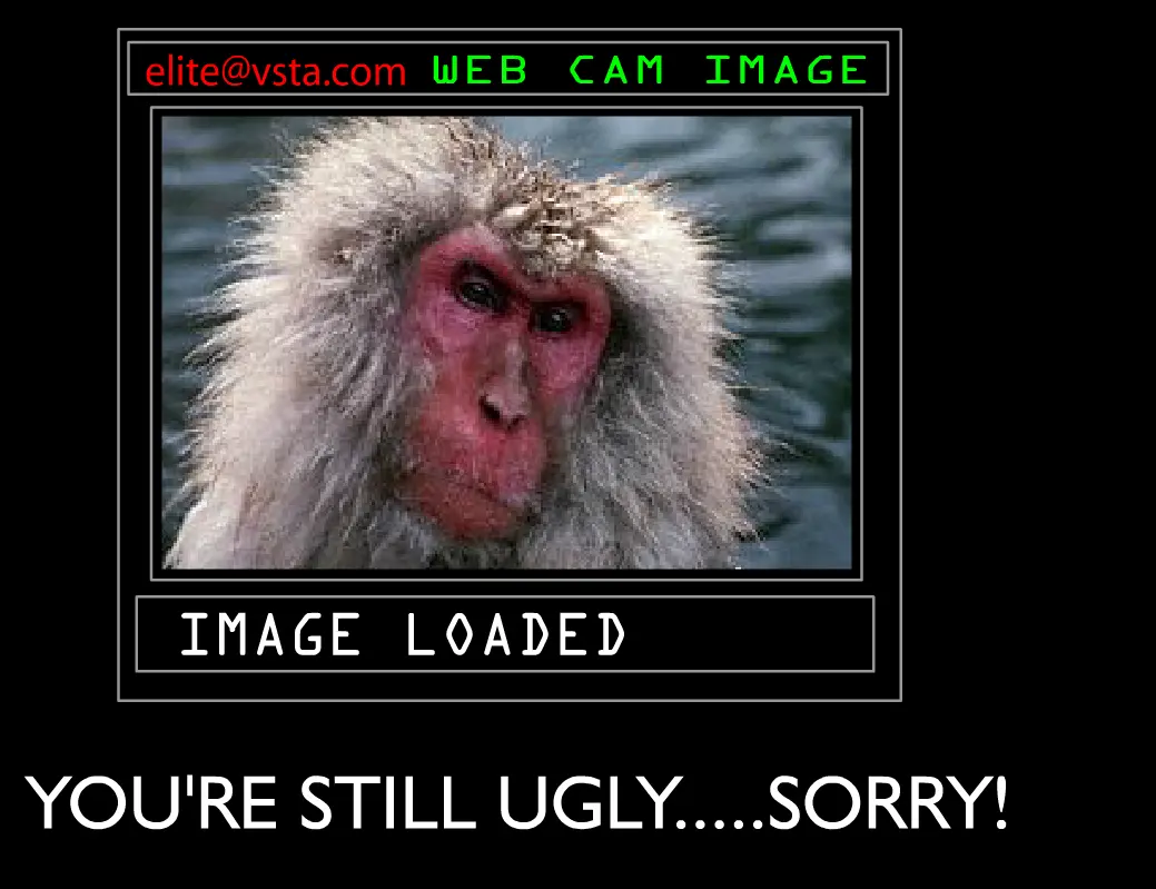 Flash 4 Funpage
