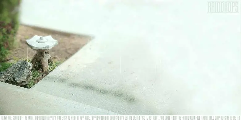 Raindrops