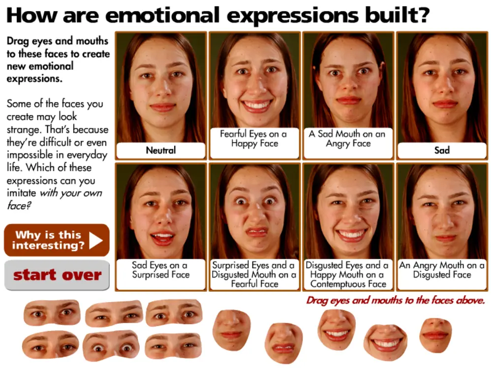 Mix and Match Emotions
