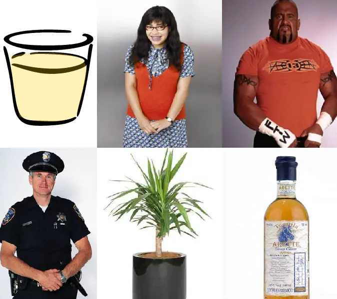 Tequila Vision