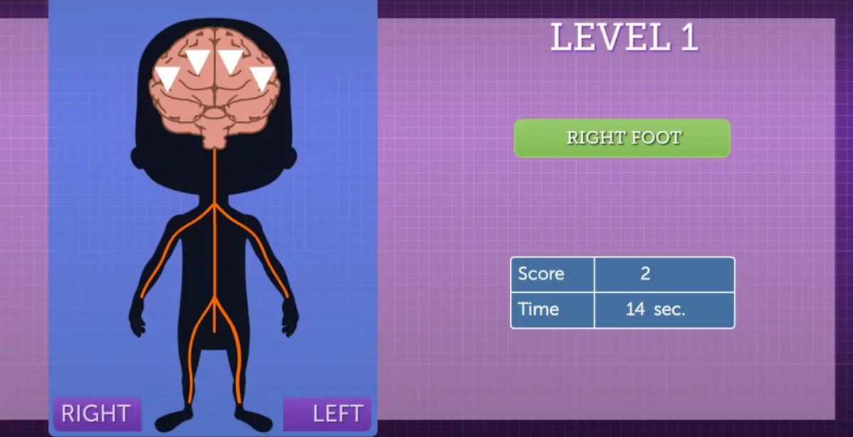 VCT: Muscle Madness