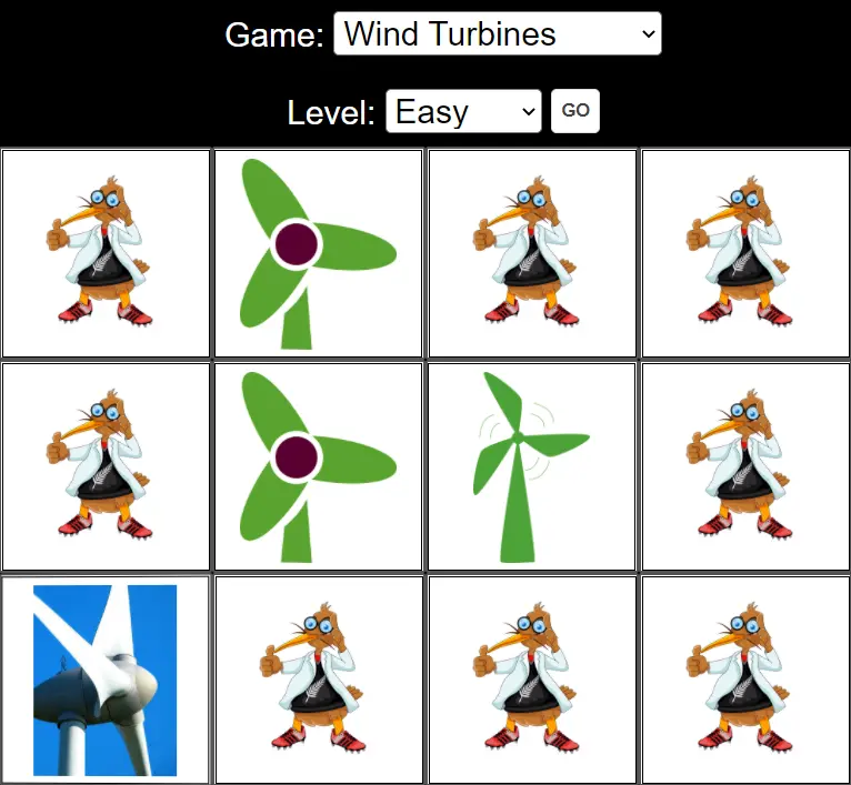 Environmental Memory Game