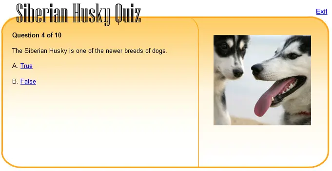 Siberian Huskey Quiz