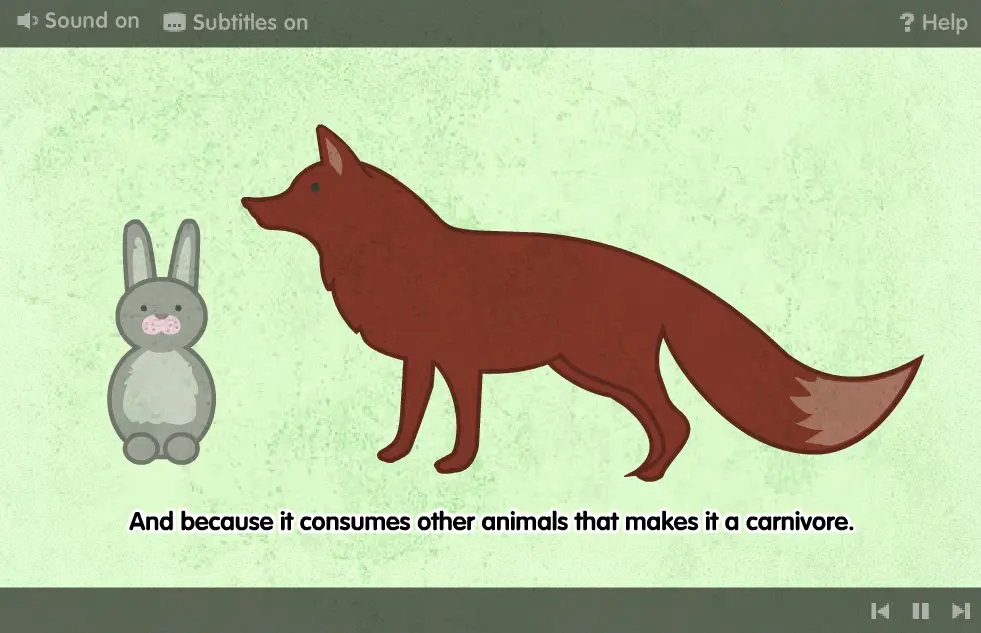 Food Chains