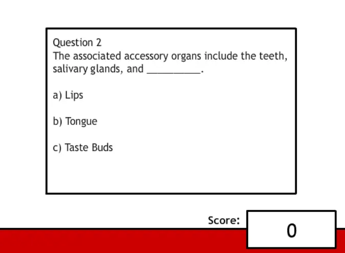 The Digestive System and You