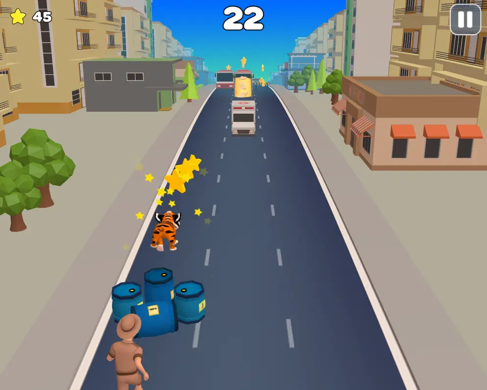 Tiger Run