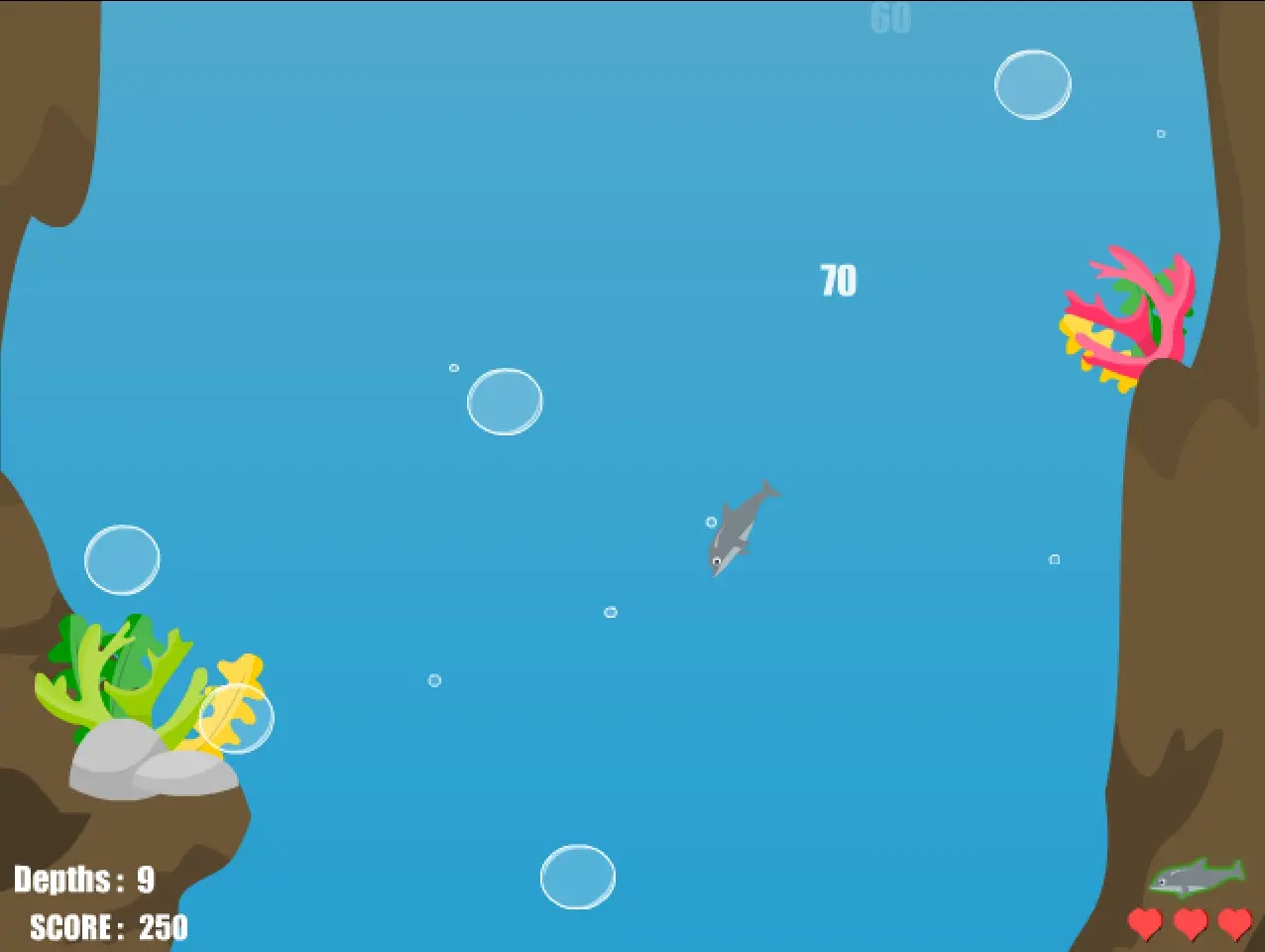 Dolphin Dive