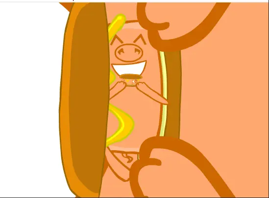 Pork