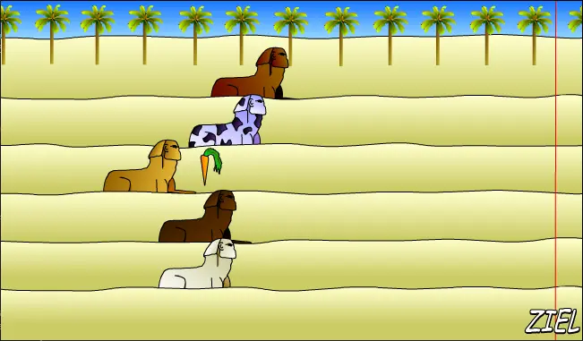 Sphinx Race