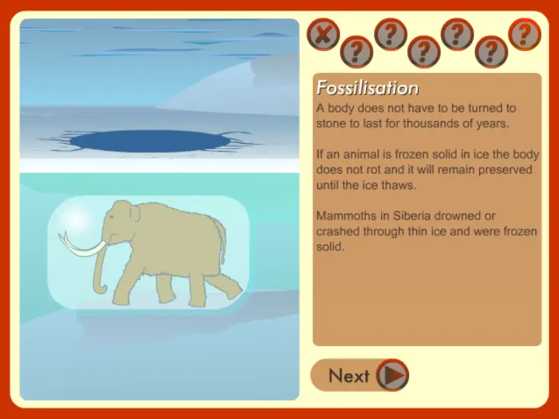Fossilisation