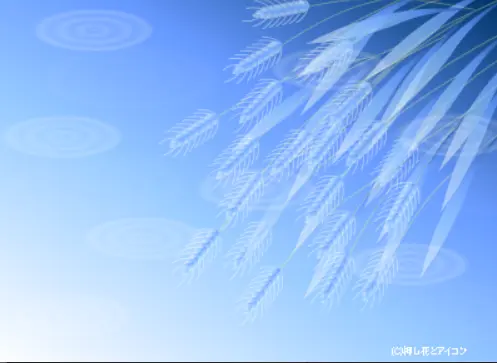 Mugi C
