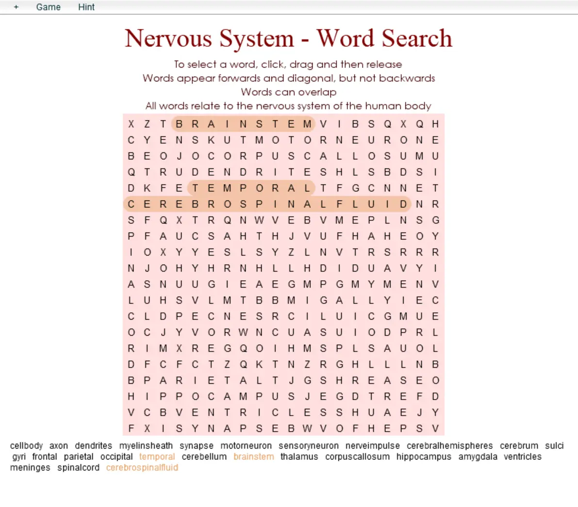 Nervous System - Word Search