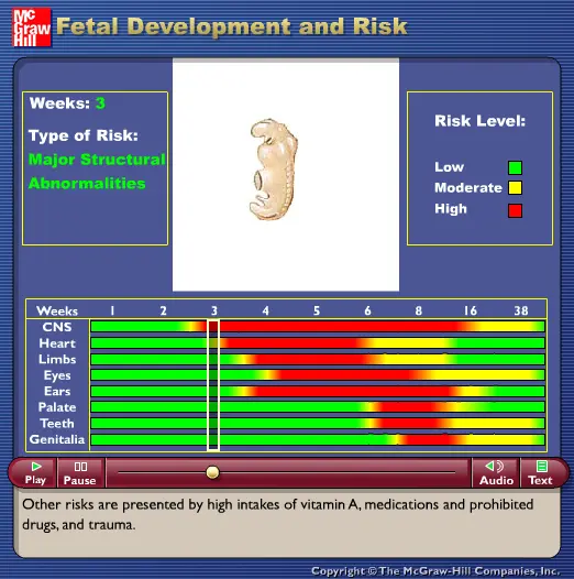 Fetal Development and Risk