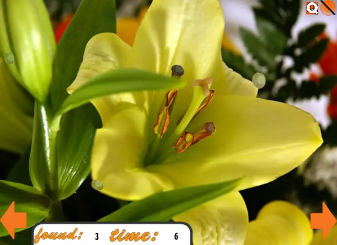 Hidden Gemstones 2
