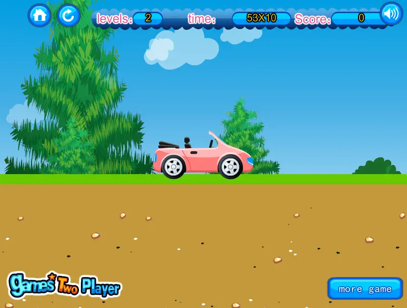 Driverless Car