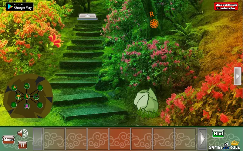 Giant Tortoise Forest Escape